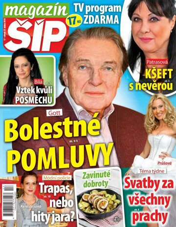 Obálka e-magazínu Magazín Šíp 17/2016