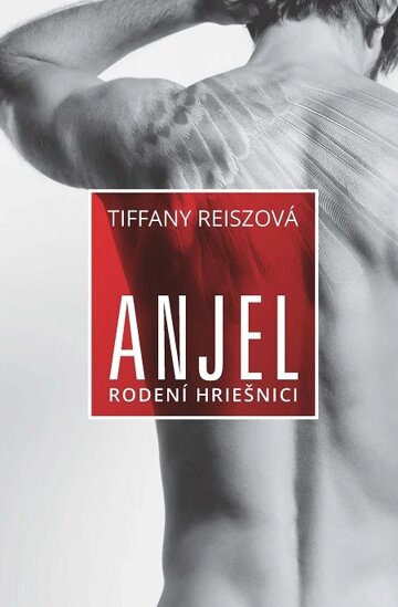 Obálka knihy Anjel