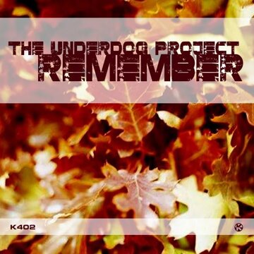 Obálka uvítací melodie Remember (Original Mix)