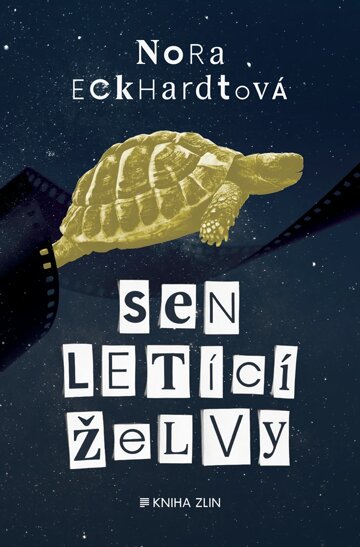 Obálka knihy Sen letící želvy