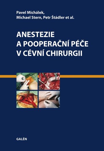 Obálka knihy Anestezie a pooperační péče v cévní chirurgii