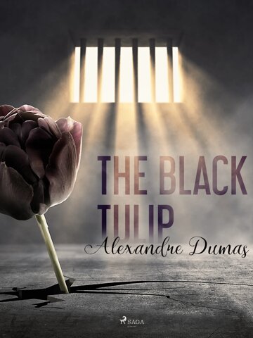 Obálka knihy The Black Tulip