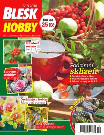 Obálka e-magazínu Blesk Hobby 9/2015