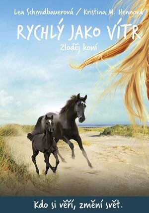 Obálka knihy Rychlý jako vítr: Zloděj koní