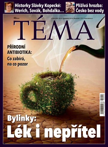 Obálka e-magazínu TÉMA 2.10.2020