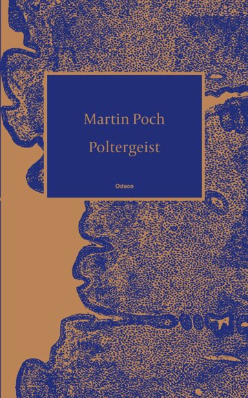 Obálka knihy Poltergeist