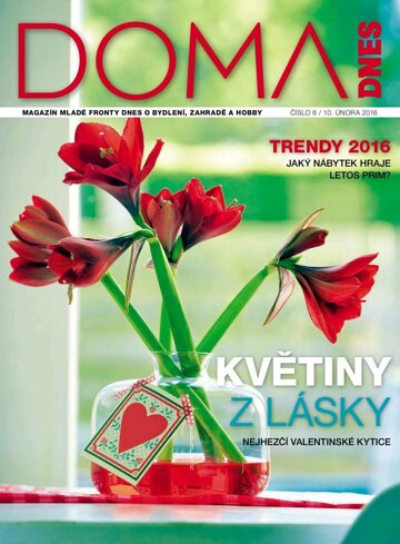 Obálka e-magazínu Doma DNES 10.2.2016