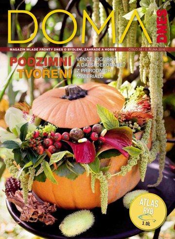 Obálka e-magazínu Doma DNES 5.10.2016