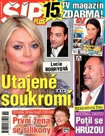Obálka e-magazínu Magazín Šíp 24/2012