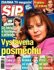 Obálka e-magazínu Magazín Šíp 14/2013