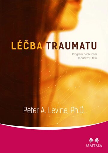 Obálka knihy Léčba traumatu