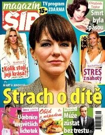 Obálka e-magazínu Magazín Šíp 39/2013