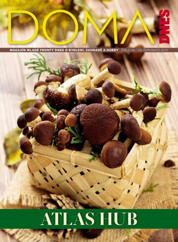 Obálka e-magazínu Doma DNES 29.7.2015