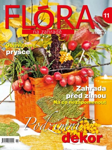 Obálka e-magazínu Flora-11-2012