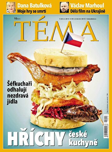Obálka e-magazínu TÉMA 6.3.2015