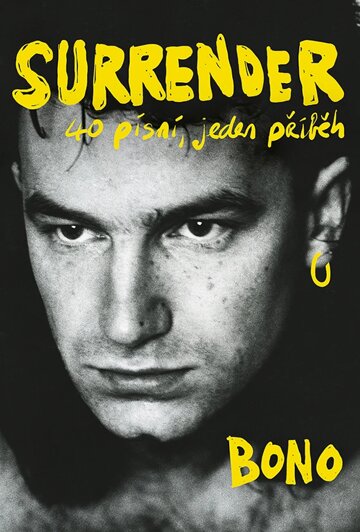 Obálka knihy Surrender: 40 písní, jeden příběh