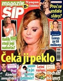 Obálka e-magazínu Magazín Šíp 29/2013