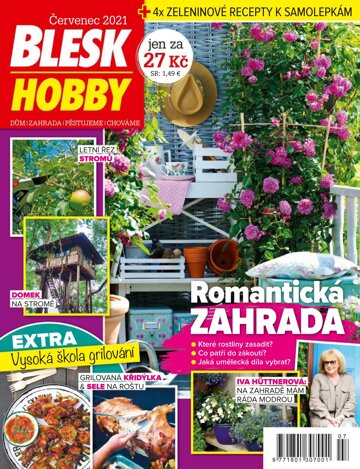 Obálka e-magazínu Blesk Hobby 7/2021