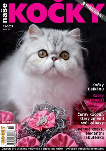 Obálka e-magazínu Naše kočky 11/2021