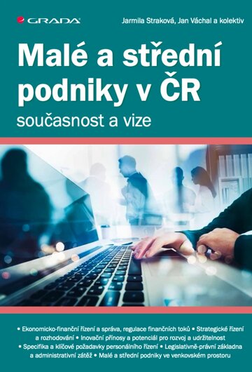 Obálka knihy Malé a střední podniky v ČR – současnost a vize