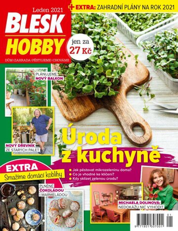 Obálka e-magazínu Blesk Hobby 1/2021