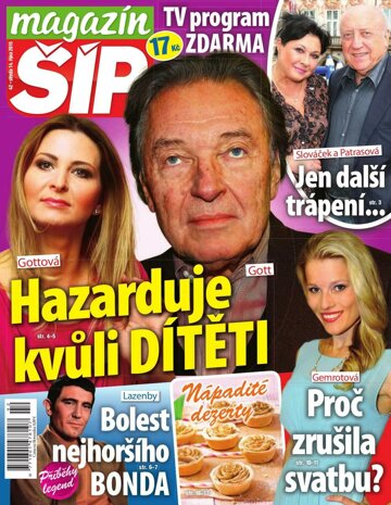 Obálka e-magazínu Magazín Šíp 42/2015