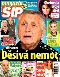 Obálka e-magazínu Magazín Šíp 41/2013