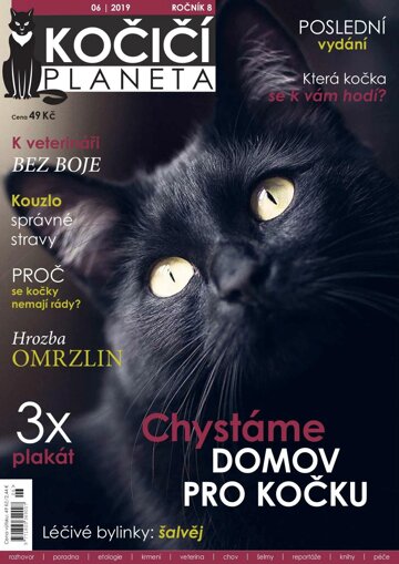 Obálka e-magazínu Kočičí planeta 6/2019