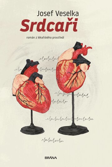 Obálka knihy Srdcaři