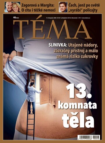 Obálka e-magazínu TÉMA 13.11.2020