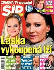 Obálka e-magazínu Magazín Šíp 11/2013