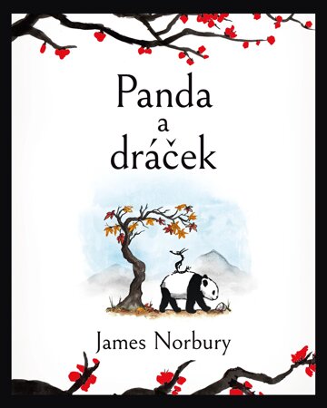 Obálka knihy Panda a dráček