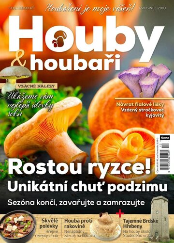 Obálka e-magazínu Houby a houbaři 12/2018