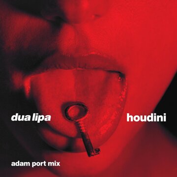 Obálka uvítací melodie Houdini (Adam Port Mix)