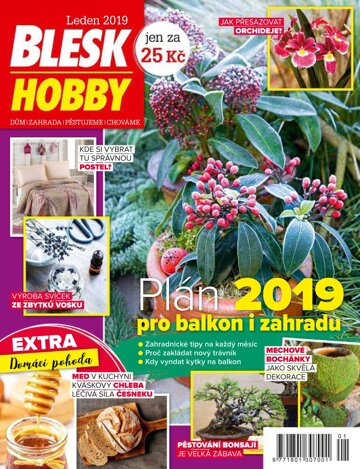 Obálka e-magazínu Blesk Hobby 1/2019