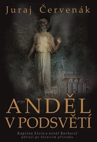 Obálka knihy Anděl v podsvětí