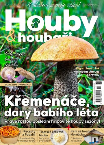 Obálka e-magazínu Houby a houbaři 11/2018
