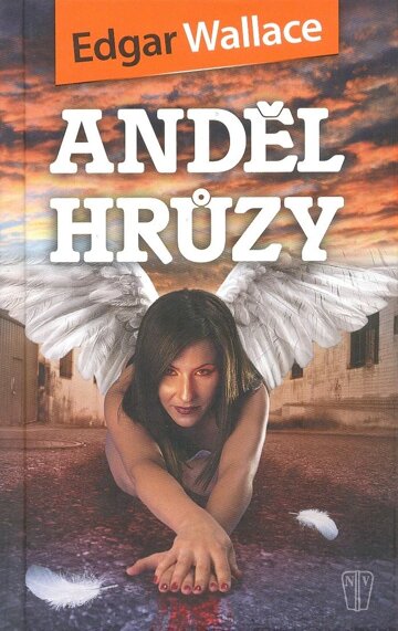 Obálka knihy Anděl hrůzy