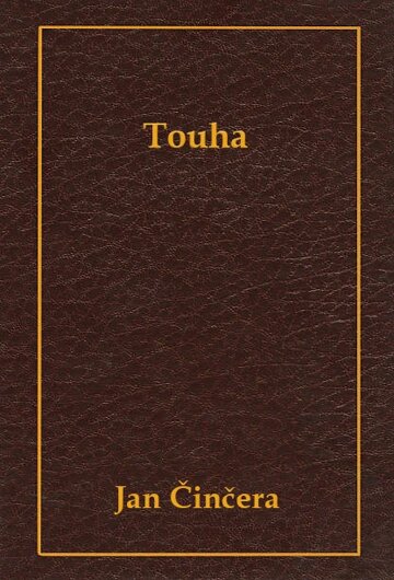 Obálka knihy Touha