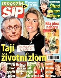 Obálka e-magazínu Magazín Šíp 25/2013