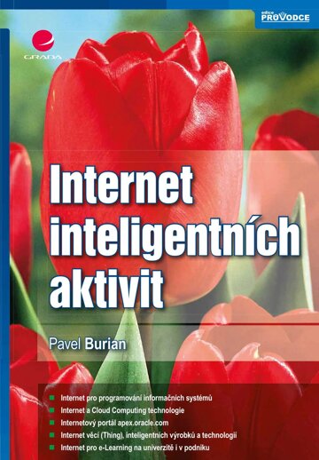 Obálka knihy Internet inteligentních aktivit