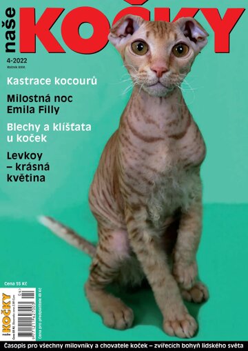 Obálka e-magazínu Naše kočky 4/2022
