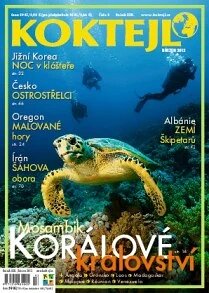 Obálka e-magazínu Koktejl 2013 březen