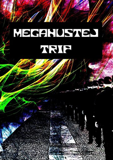 Obálka knihy Megahustej trip