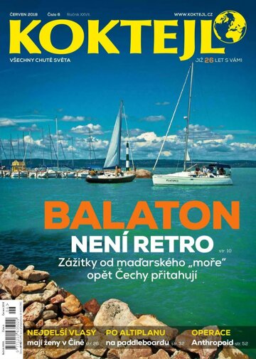 Obálka e-magazínu Koktejl 6/2018