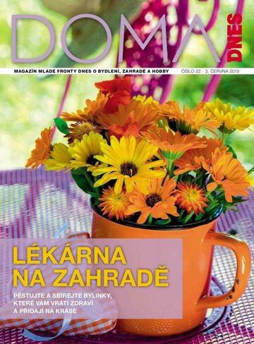 Obálka e-magazínu Doma DNES Magazín - 3.6.2015