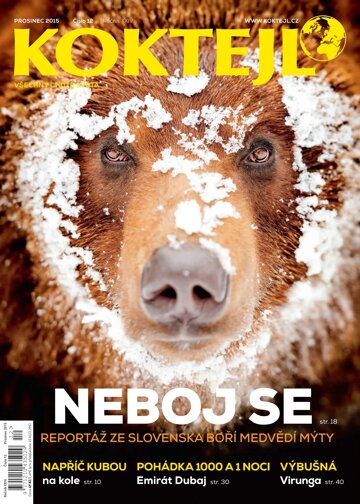 Obálka e-magazínu Koktejl 12/2015