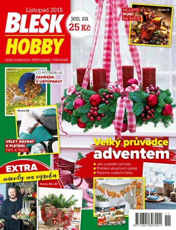 Obálka e-magazínu Blesk Hobby 11/2018