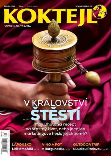 Obálka e-magazínu Koktejl 1/2019