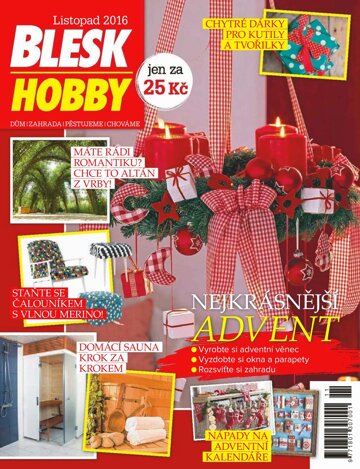 Obálka e-magazínu Blesk Hobby 11/2016